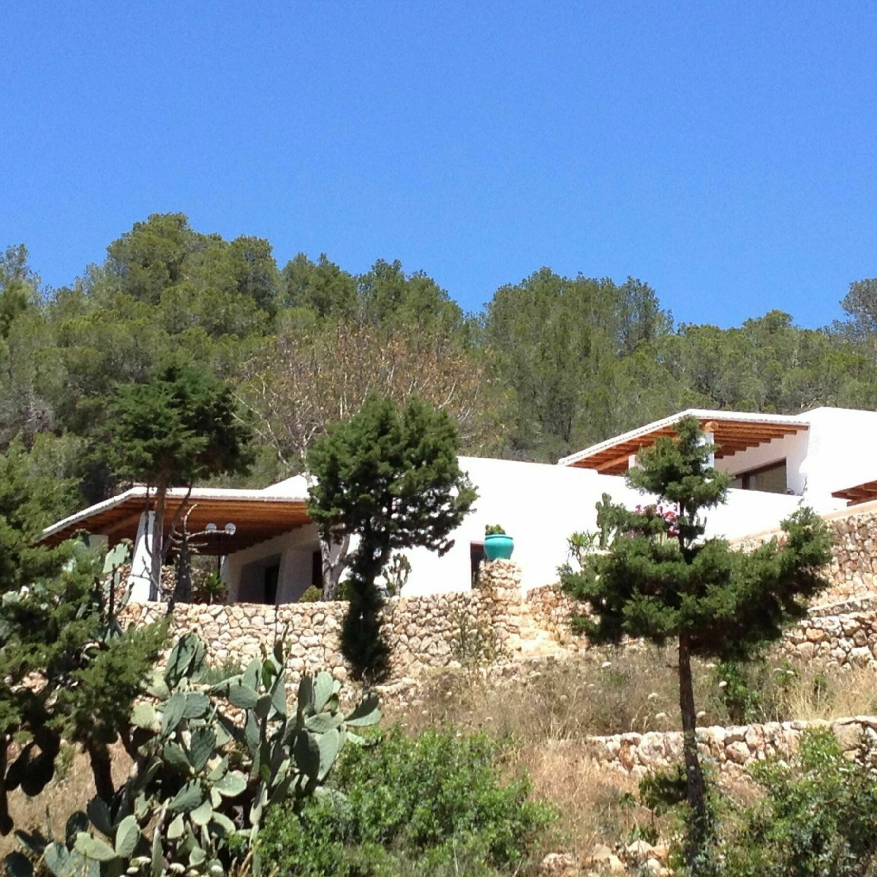 Weedy Villa Sant Antoni de Portmany