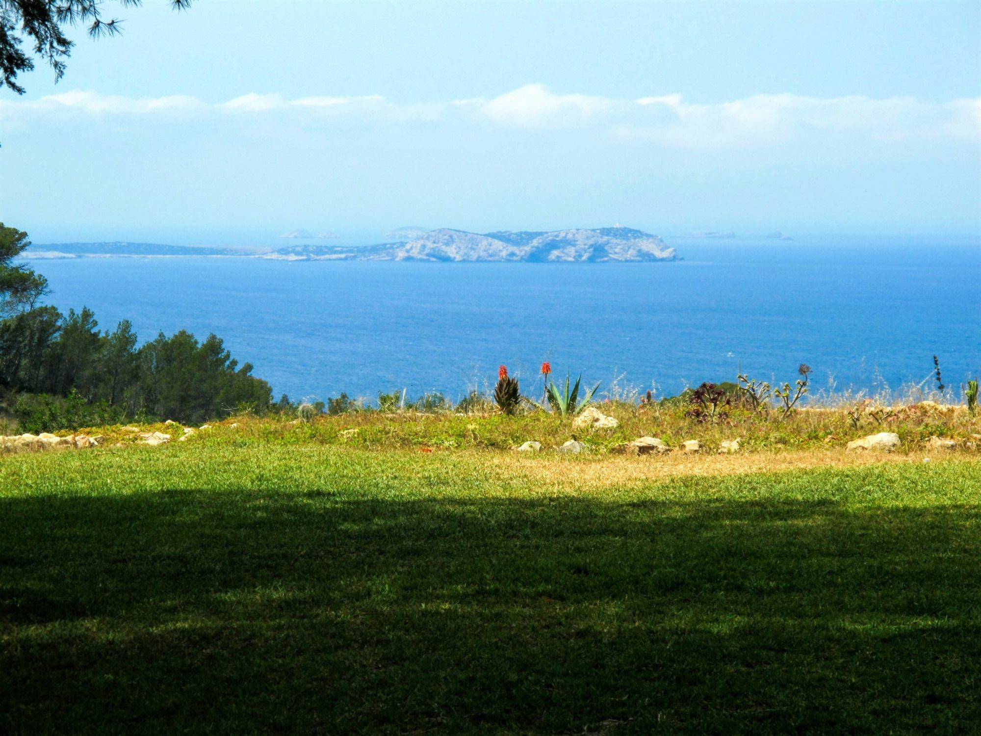 Weedy Sant Antoni de Portmany