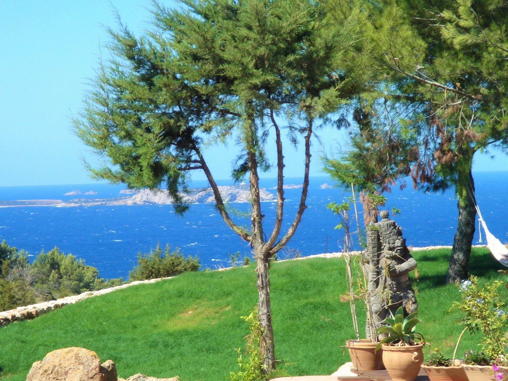 Weedy Sant Antoni de Portmany